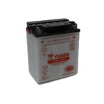 PowerSports Battery