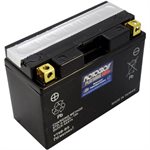 PowerSports Battery
