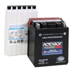 PowerSports Battery